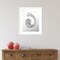 Pearl Nautilus Shell Cut In Half Showing Chambers by Design Pics Danita Delimont Wood Framed Wall Art Print
